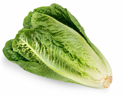 Paudha Chinese Cabbage Seed(56 per packet)