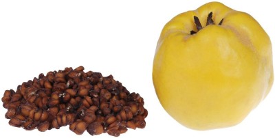 FRESHO quince hybrid Seed(20 per packet)