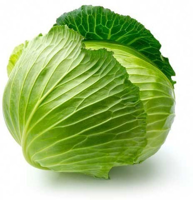 Paudha Cabbage Hybrid Seed(40 per packet)