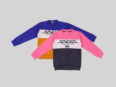 Trendy World Full Sleeve Color Block, Printed Boys & Girls Sweatshirt