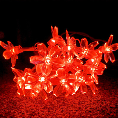Meneon 36 LEDs 6 m Red Steady Flower Rice Lights(Pack of 1)