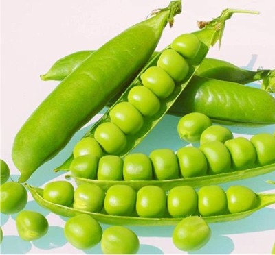 KANAYA Peas(Matar) Seed(250 per packet)