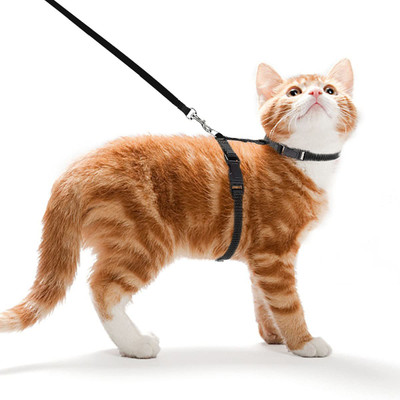 SHAFIRE Cat Harness Leash Nylon Set for Cat Rabbit Kitten and Small Pet Nylon Harness Strap Collar /Cat Training Leash Lead (Black) Cat Harness & Leash(Small, Black)