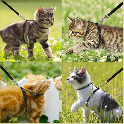 ADIOS Cat and Small Pet Nylon Strap Collar with Adjustable Walking Harness Leash (Black) Cat Harness & Leash(Small, black)