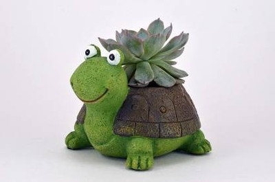 Pancikaa Tortoise Design Longevity and Success Vastu Cartoon Theme Unique and Trendy Succulent Imported Polyresin/Resin Pot Without Plant - Plant Container Set(Polythene)