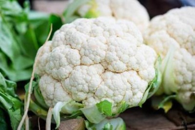 TAMRANSH Cauliflower Seed (139per packet) Seed(139 per packet)