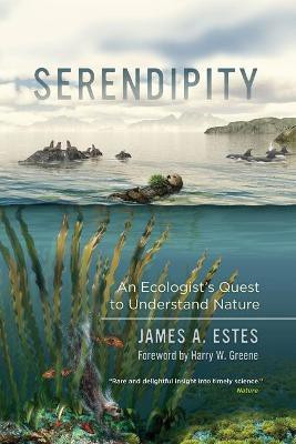 Serendipity(English, Paperback, Estes James A.)