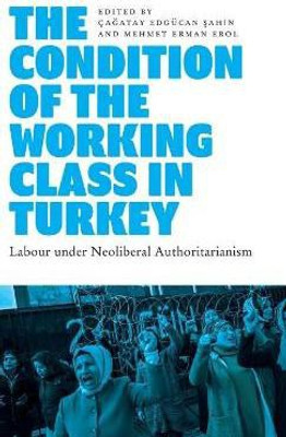 The Condition of the Working Class in Turkey(English, Hardcover, unknown)