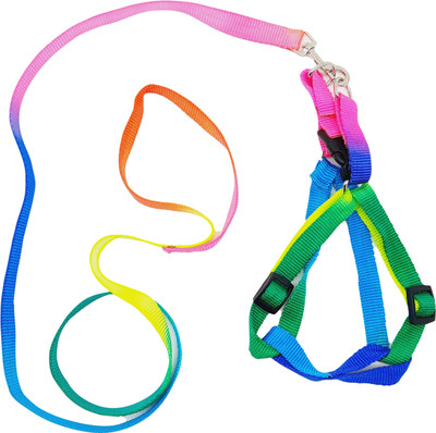 eshopy Durable Nylon Colourful Rainbow Adjustable Harness and Round Traction Leash , Dog Pet Puppy Cat Kitty Adjustable Nylon Leash, Size Medium ( Adjustable Chest 38-48cm) Rainbow Pack of 1 Dog & Cat Harness & Leash(Medium, Rainbow)
