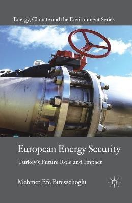 European Energy Security(English, Paperback, Biresselioglu M.)