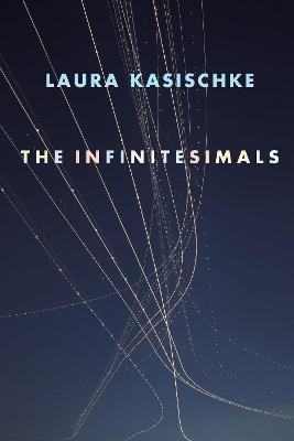 The Infinitesimals(English, Paperback, Kasischke Laura)