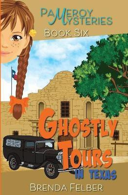 Ghostly Tours(English, Paperback, Felber Brenda S)
