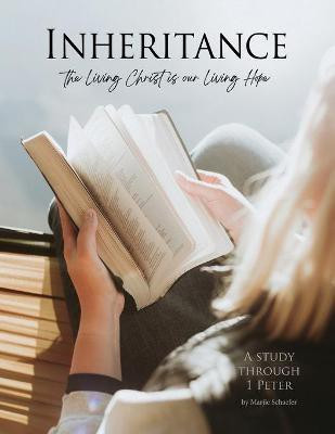 Inheritance(English, Paperback, Schaefer Marjie)