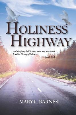 Holiness Highway(English, Paperback, Barnes Mary L)