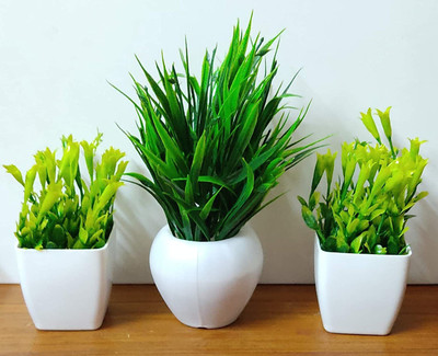 Flipkart Perfect Homes Artificial Flower Plant/Flower Vase for Home & Garden Decor Orchids ( 30 cm ) Green Wild Flower Artificial Flower  with Pot(8 inch, Pack of 3, Flower with Basket)