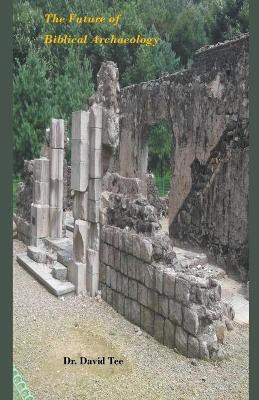 The Future of Biblical Archaeology(English, Paperback, Tee David Dr)