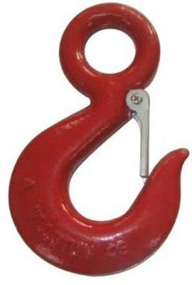 SB Chavan EYE HOOK 2 TON Hook Eye(Pack of 1)