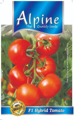 ALPINE HYBRIDE SEEDS RED TOMATO Seed(50 per packet)