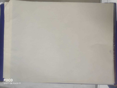 Shield plus ATSUI PAPER PACK OF 100 (THERMAL PAPER)(PAPER)