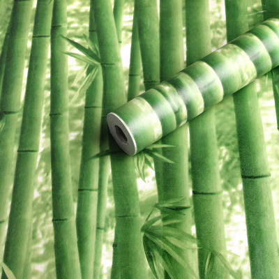 Tlismi Vinyl Decorative Green Wallpaper(L x W: 300 cm x 45 cm)