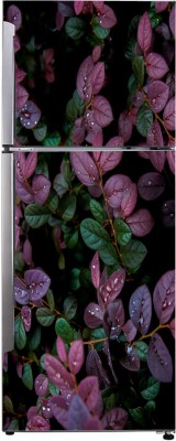 K2A Design 60 cm beautiful leaves with dark background extra lardge fridge sticker for Self Adhesive Sticker(Pack of 1)