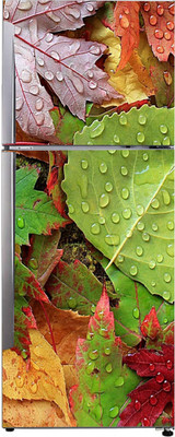 Byte Studio 60 cm Fridge sticker decorative multicolor abstract size (60.96x152.4)cm Self Adhesive Sticker(Pack of 1)