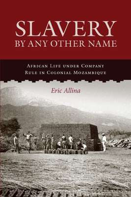 Slavery by Any Other Name(English, Paperback, Allina Eric)