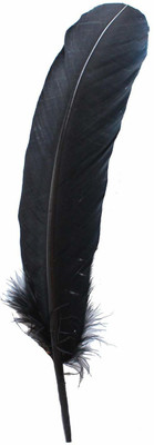 Tiptop Decoration Pack of 5 Decorative Feathers(35 Synthetic Material)