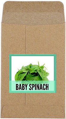 CYBEXIS Hybrid Dill Soya Seeds2800 Seeds Seed(2800 per packet)