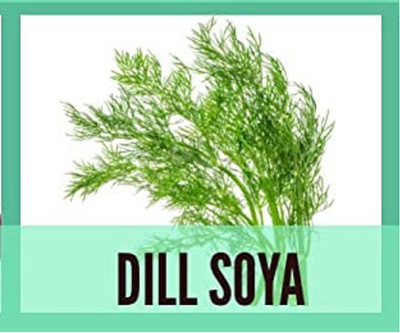 CYBEXIS Organic Dill Soya Seeds700 Seeds Seed(700 per packet)