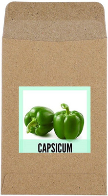CYBEXIS Hybrid Green Capsicum Seeds1200 Seeds Seed(1200 per packet)