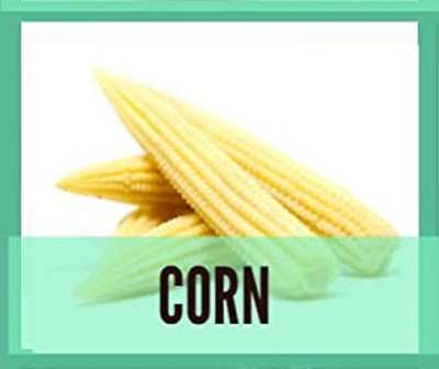 CYBEXIS Organic Corn Seeds2000 Seeds Seed(2000 per packet)