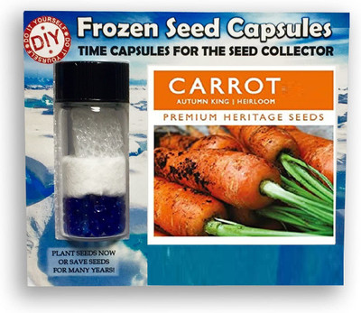 CYBEXIS Carrot Orange1000 Seeds Seed(1000 per packet)