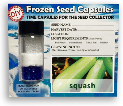 CYBEXIS Squash400 Seeds Seed(400 per packet)