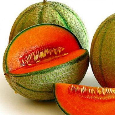 Paudha MuskMelon Hybrid Seed(46 per packet)