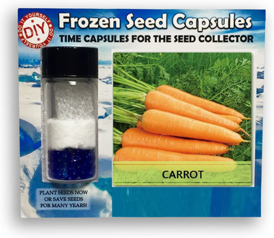 CYBEXIS Carrot Nentes4000 Seeds Seed(4000 per packet)