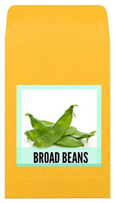 CYBEXIS Guarenteed Germination Broad Beans Seeds800 Seeds Seed(800 per packet)