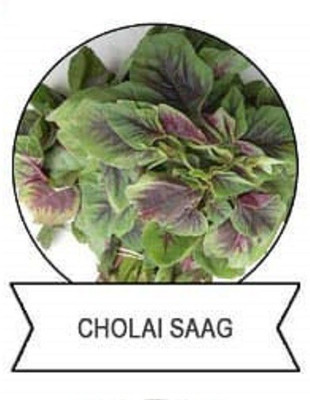 CYBEXIS F1 Hybrid Cholai Saag Seeds1000 Seeds Seed(1000 per packet)