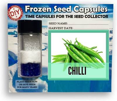 CYBEXIS Long Green Chilli2400 Seeds Seed(2400 per packet)