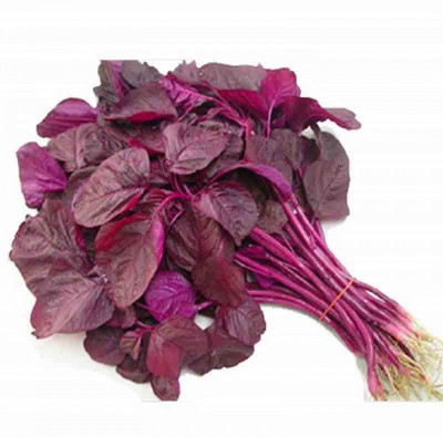PRADHAM SEEDS AMARANTHUS Seed(1 kg)
