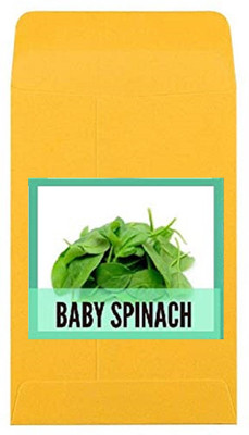 CYBEXIS Guarenteed Germination Dill Soya Seeds700 Seeds Seed(700 per packet)
