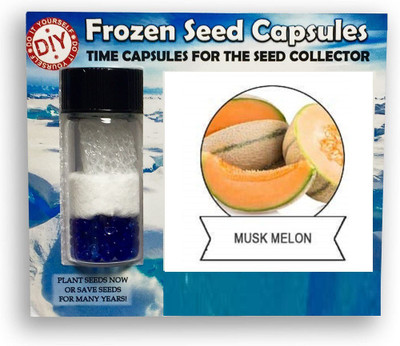 CYBEXIS Sweet Musk Melon1000 Seeds Seed(1000 per packet)