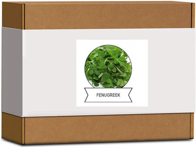 CYBEXIS Organic Fenugreek Seeds700 Seeds Seed(700 per packet)