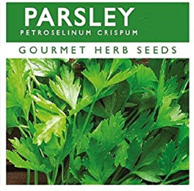 CYBEXIS Organic Parsley Seeds2800 Seeds Seed(2800 per packet)