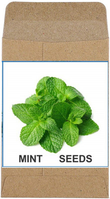 CYBEXIS Heirloom Mint Seeds2800 Seeds Seed(2800 per packet)