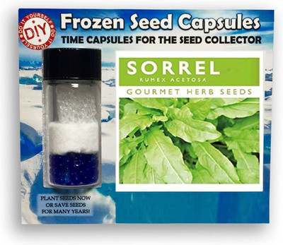 CYBEXIS Sorrel800 Seeds Seed(800 per packet)