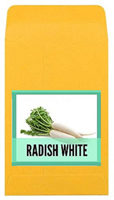 CYBEXIS Hybrid Radish White Seeds1200 Seeds Seed(1200 per packet)