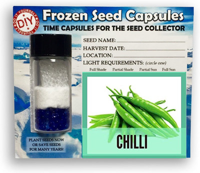 CYBEXIS Hot Chilli2400 Seeds Seed(2400 per packet)