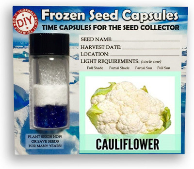 CYBEXIS Snow Ball Cauliflower1000 Seeds Seed(1000 per packet)