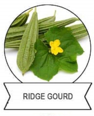 Qualtivate ® F1 Hybrid Ridge Gourd Seeds(150 Seeds) Seed(150 per packet)